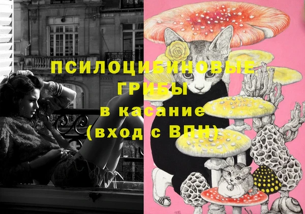 соль ск Абдулино